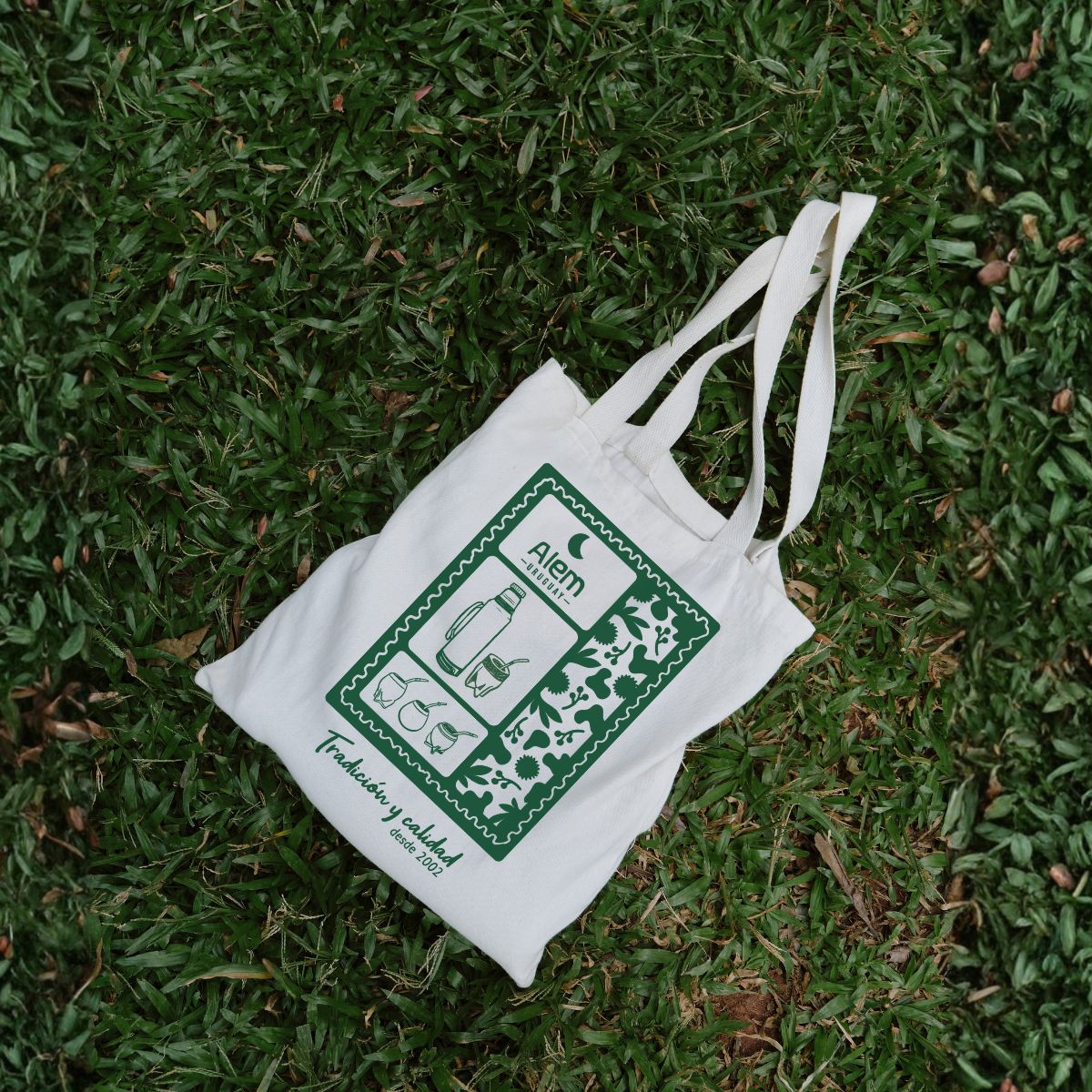 Diseño y desarrollo para Alem en Uruguay, estudio de diseño